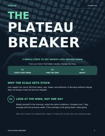The Plateau Breaker — actual PDF cover